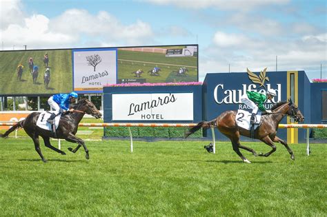 blue diamond stakes 2021|Blue Diamond Favourite Enthaar Dominates 2021 Chairman’s .